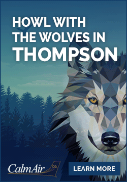 CA-250x360-RT-Thom.gif (77 KB)